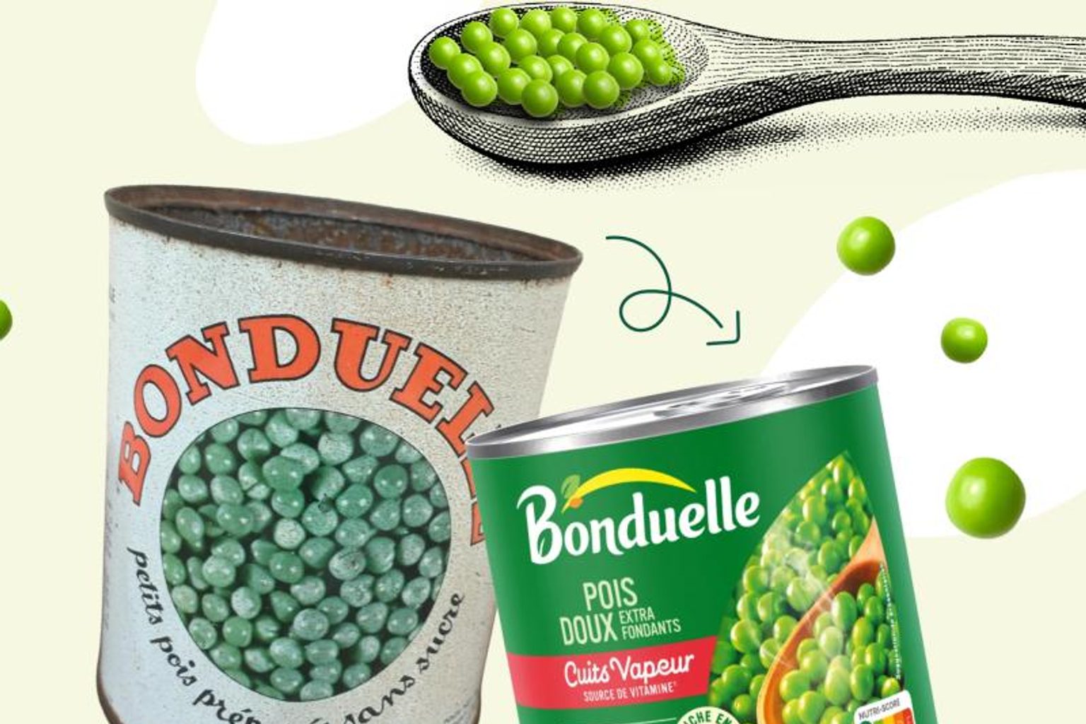BONDUELLE - Déclaration mensuelle du nombre d'actions et de droits de vote